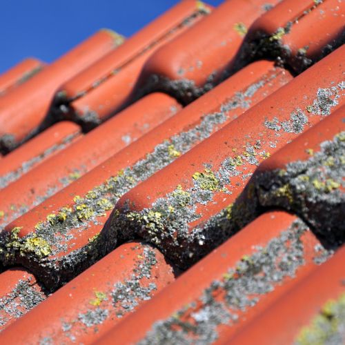 Nettoyage et Démoussage de toiture à Asnières-sur-Seine (92600) dans les Hauts de Seine (92) Nettoyage et Démoussage de toiture à Asnières-sur-Seine (92600) dans les Hauts de Seine (92)